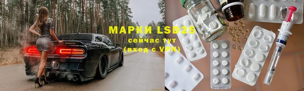 шишки Беломорск