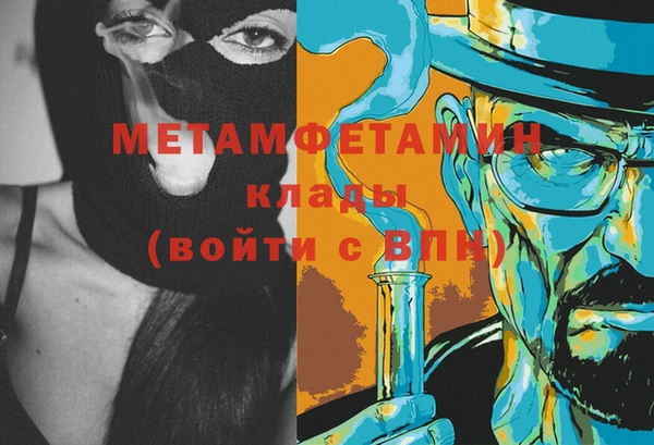 шишки Беломорск