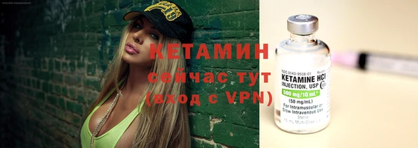 шишки Беломорск
