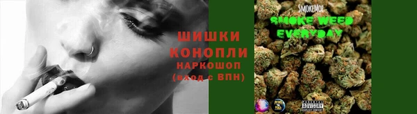 гидропоника Белокуриха