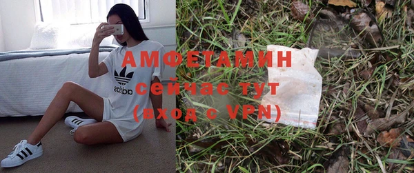 шишки Беломорск