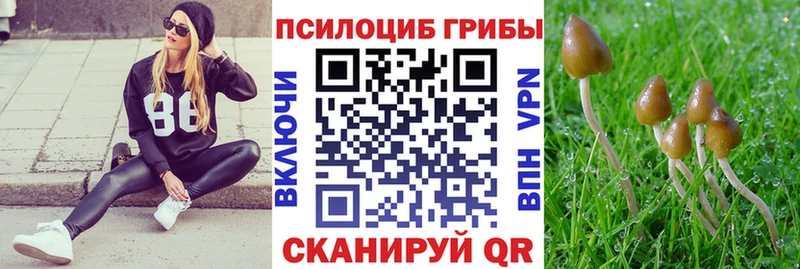 ОМГ ОМГ зеркало  Севск  Галлюциногенные грибы GOLDEN TEACHER 